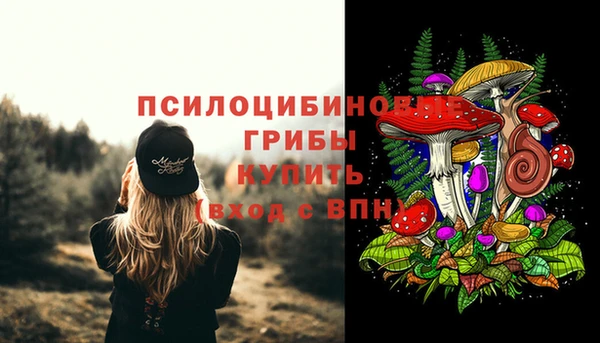 ALPHA PVP Лагань