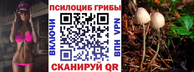 нарко площадка как зайти  что такое   Таштагол  Галлюциногенные грибы MAGIC MUSHROOMS 